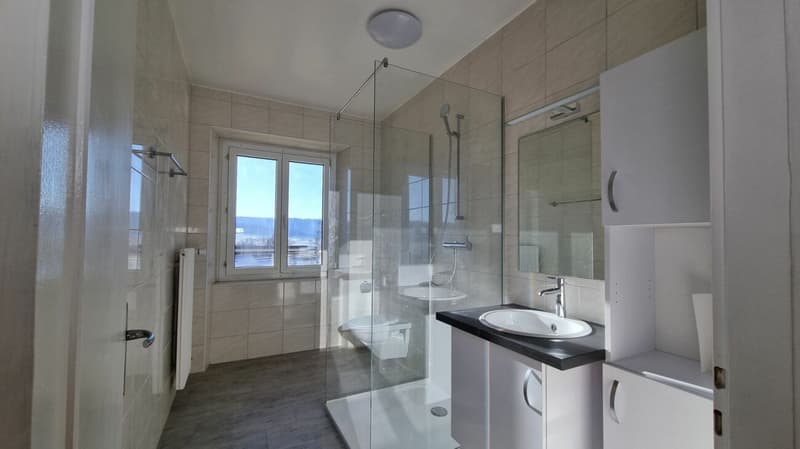 Bright 3-room apartment completely renovated (8)