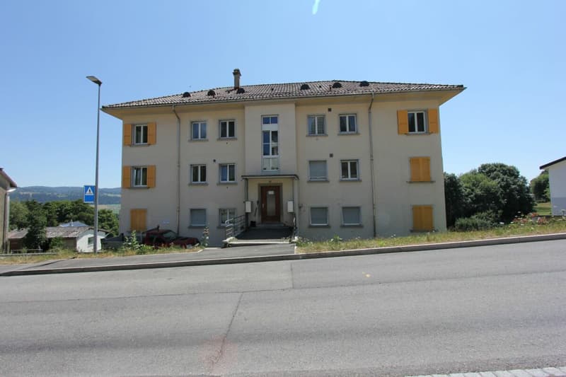 Bright 3-room apartment completely renovated (9)
