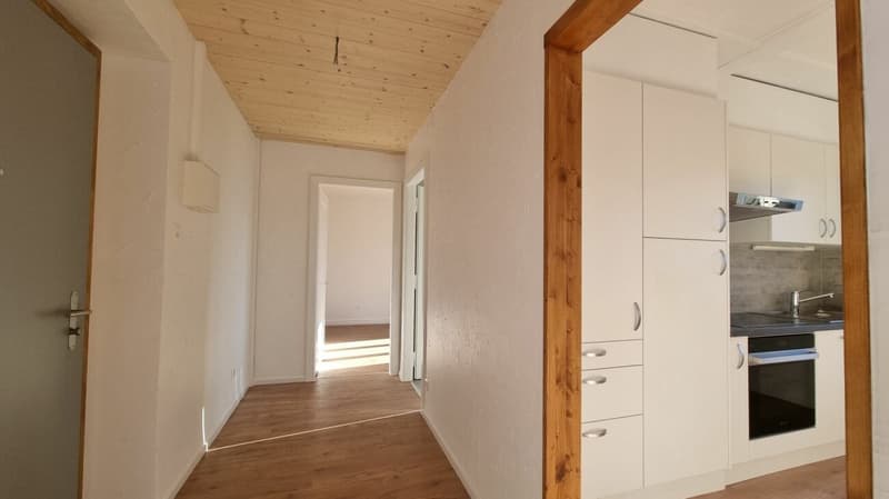 Bright 3-room apartment completely renovated (4)