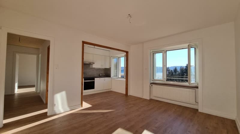 Bright 3-room apartment completely renovated (2)
