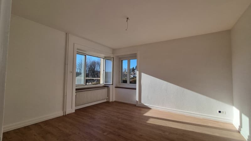 Bright 3-room apartment completely renovated (7)