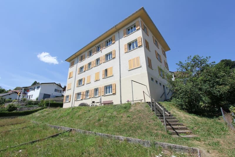 Bright 3-room apartment completely renovated (10)