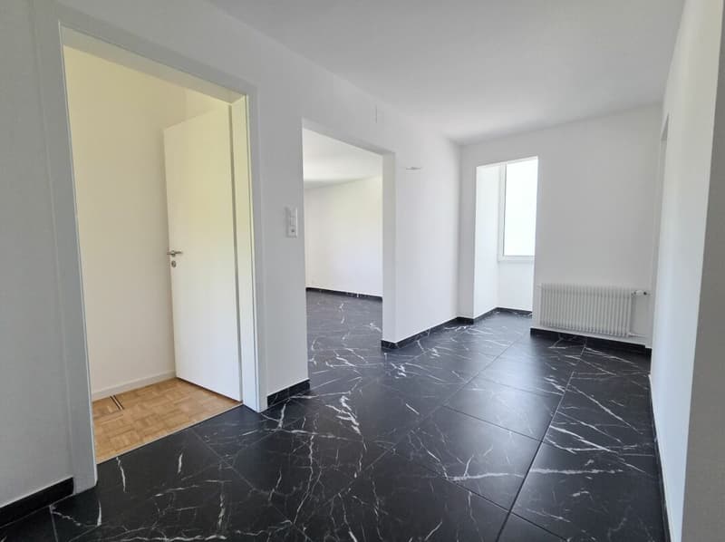 Wohnung mit 4.5 Zimmern komplett renoviert (7)