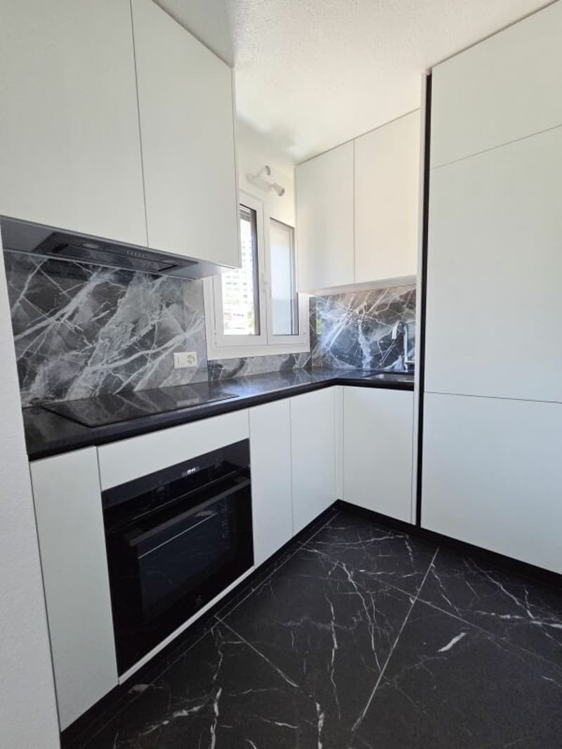 Wohnung mit 4.5 Zimmern komplett renoviert (9)
