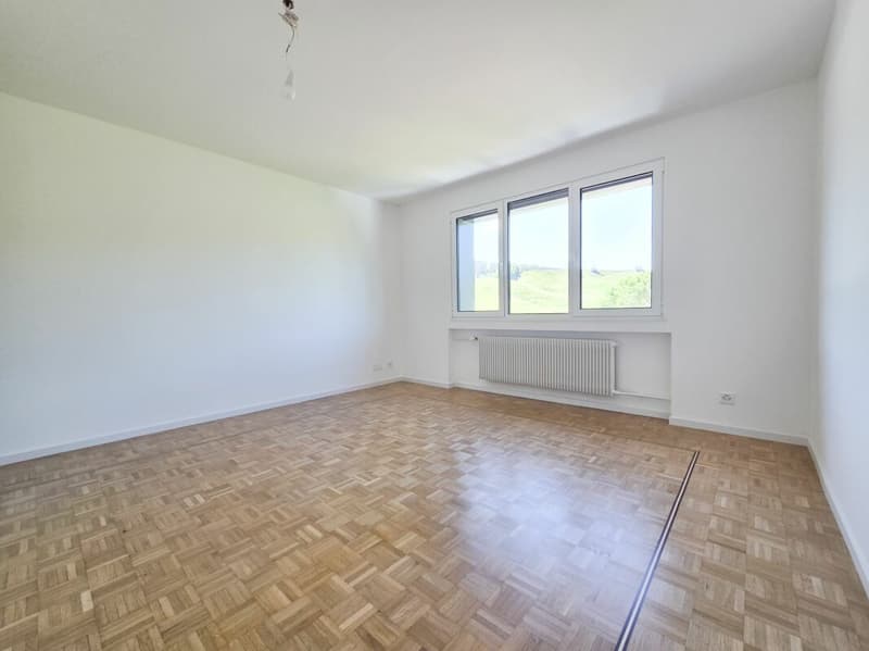 Wohnung mit 4.5 Zimmern komplett renoviert (5)