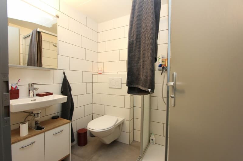 Prachtvolle 5.5-Zimmer-Wohnung mit Charme (6)