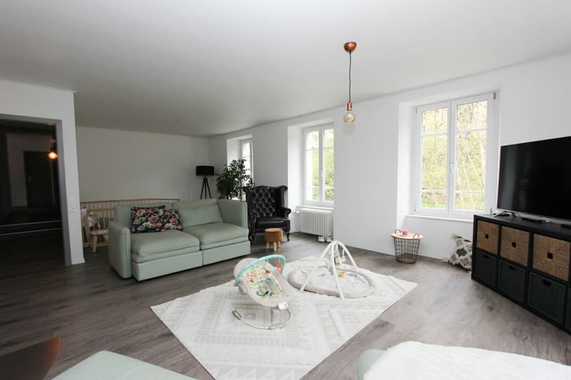 Prachtvolle 5.5-Zimmer-Wohnung mit Charme (4)