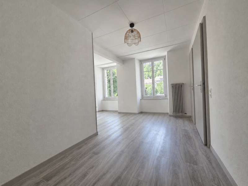 Vollständig renovierte Wohnung oder Gewerberaum (5)