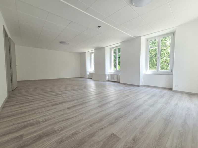 Vollständig renovierte Wohnung oder Gewerberaum (2)
