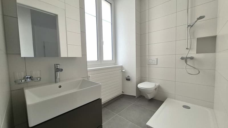 Wohnung mit 2.5 Zimmern komplett renoviert (4)