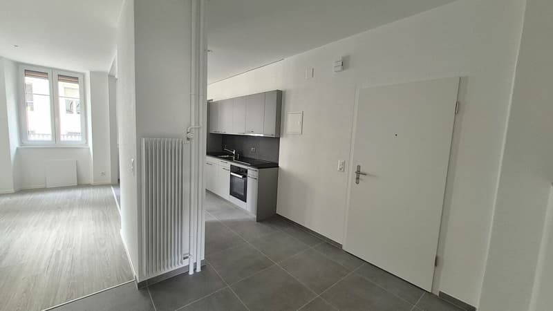 Wohnung mit 2.5 Zimmern komplett renoviert (3)