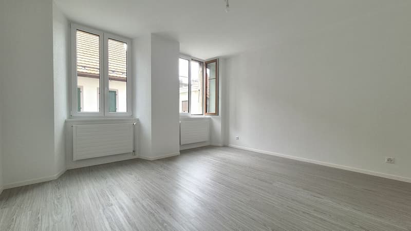 Wohnung mit 2.5 Zimmern komplett renoviert (6)