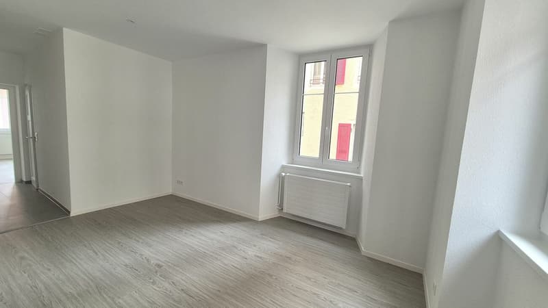 Wohnung mit 2.5 Zimmern komplett renoviert (5)