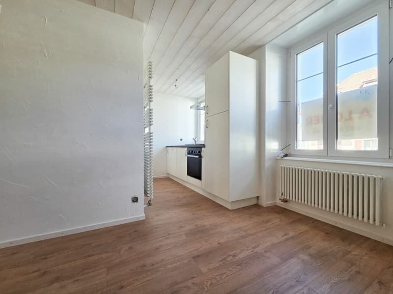 Wohnung mit 2.5 Zimmern komplett renoviert! (4)