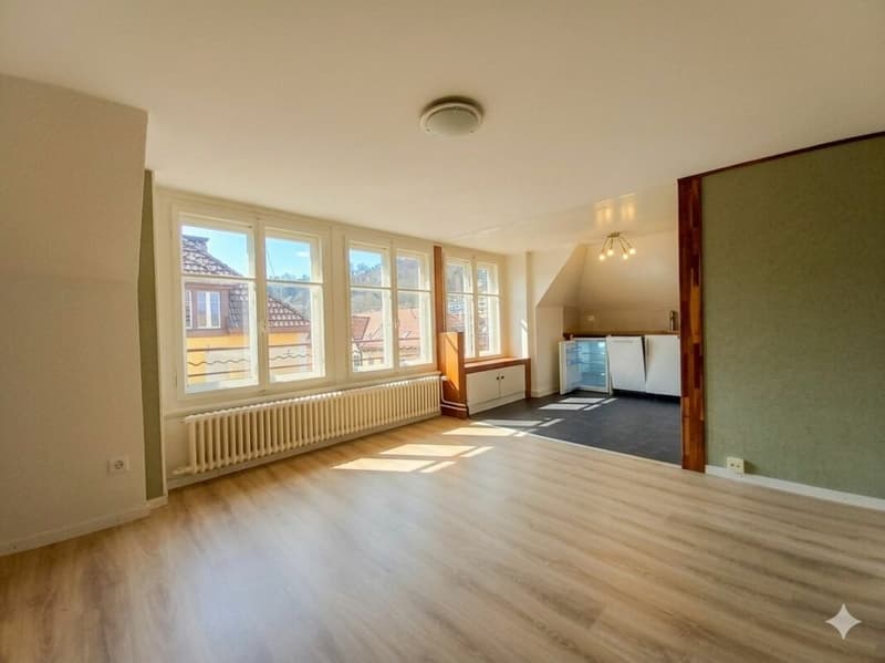 Joli studio situé au Quartier Neuf (2)