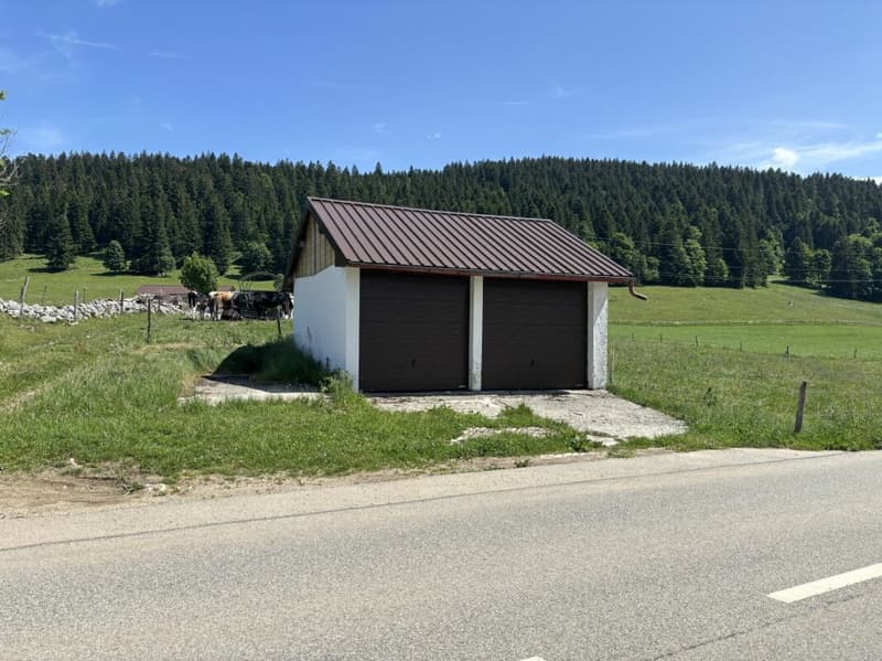 Magnifique ferme rénovée ! (25)