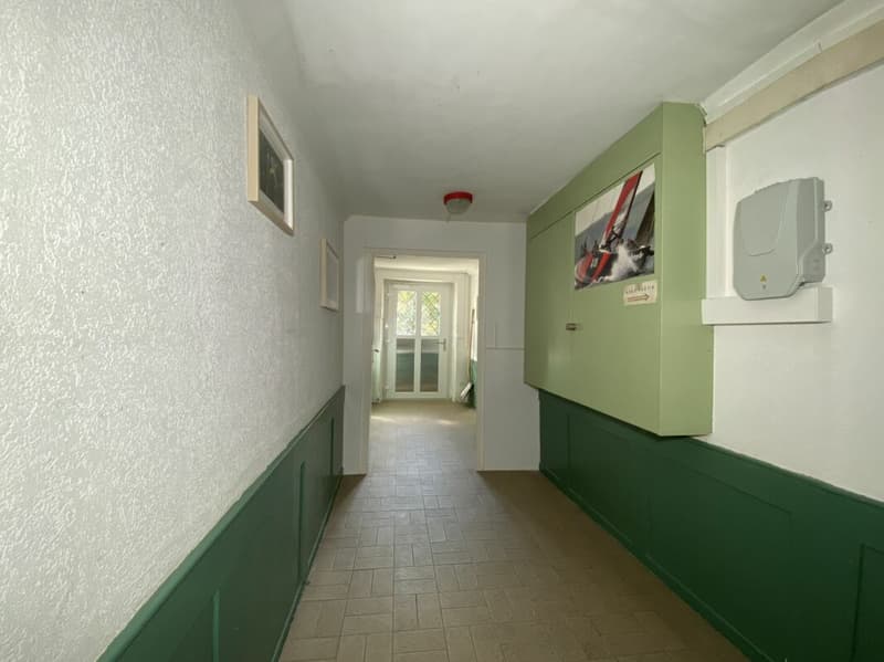 Apartment with 6.5 rooms and private garden (13)