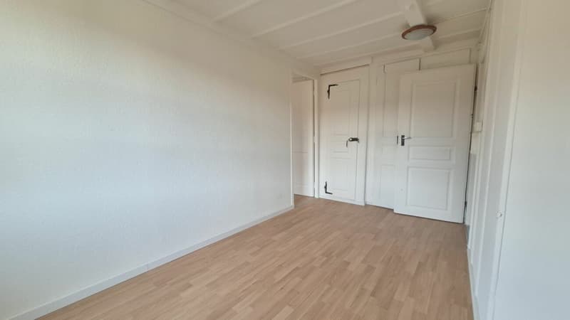 Apartment with 6.5 rooms and private garden (11)
