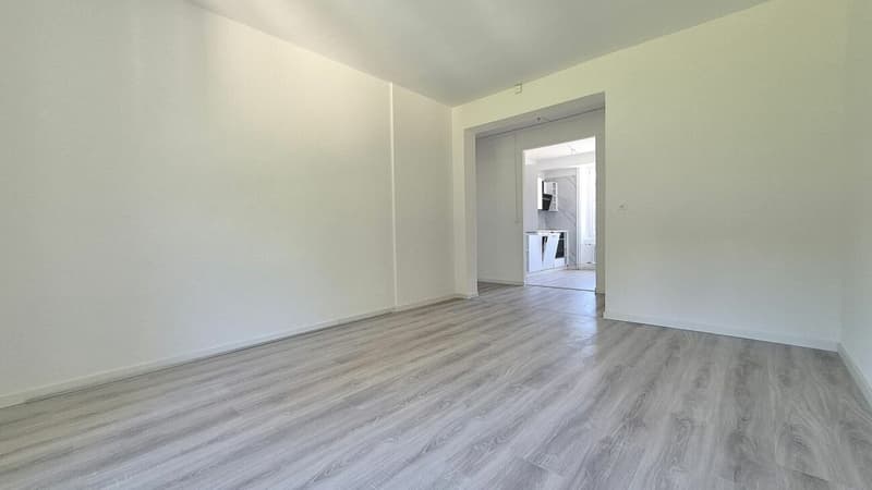 Magnificent 3-room apartment completely renovated with balcony - Le Locle (5)