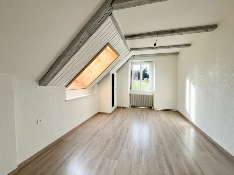 Cozy 3.5-room apartment in the countryside (7)