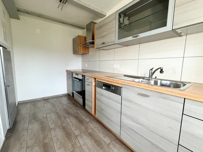 Cozy 3.5-room apartment in the countryside (4)