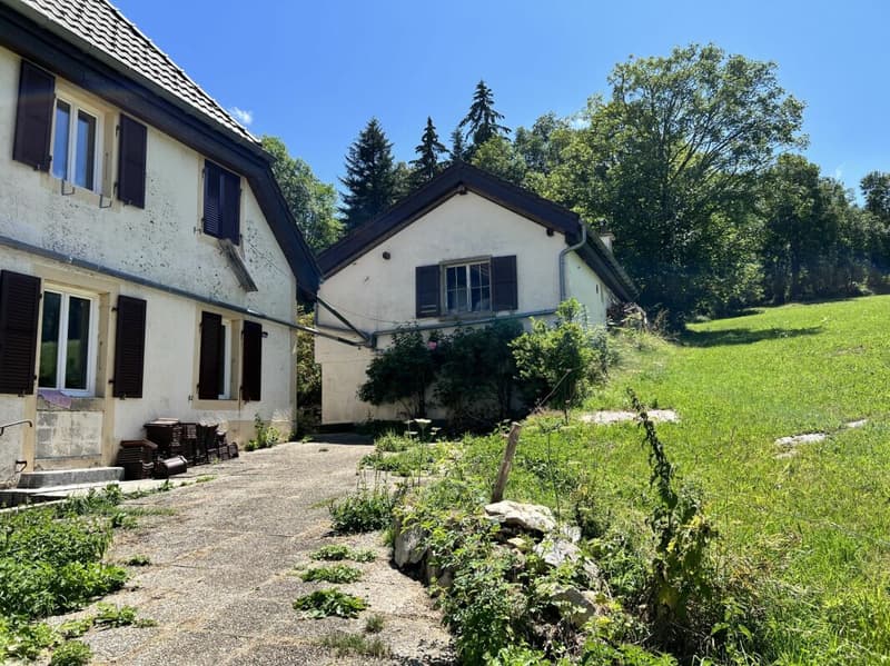 Cozy 3.5-room apartment in the countryside (10)