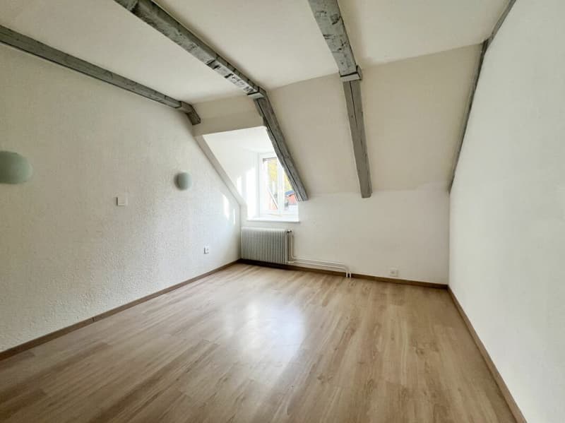 Cozy 3.5-room apartment in the countryside (8)