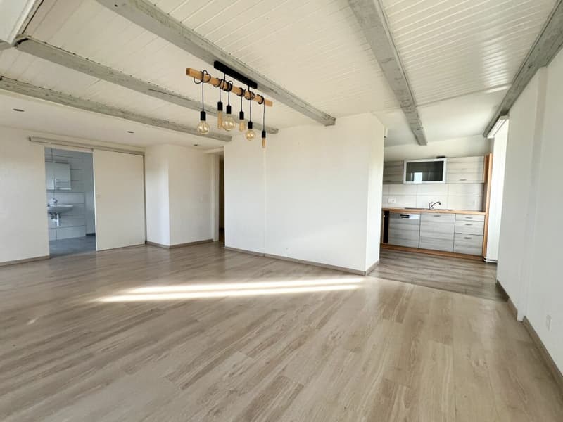 Cozy 3.5-room apartment in the countryside (2)