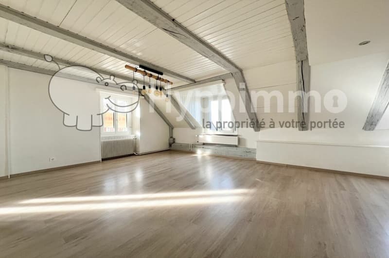 Cozy 3.5-room apartment in the countryside (1)