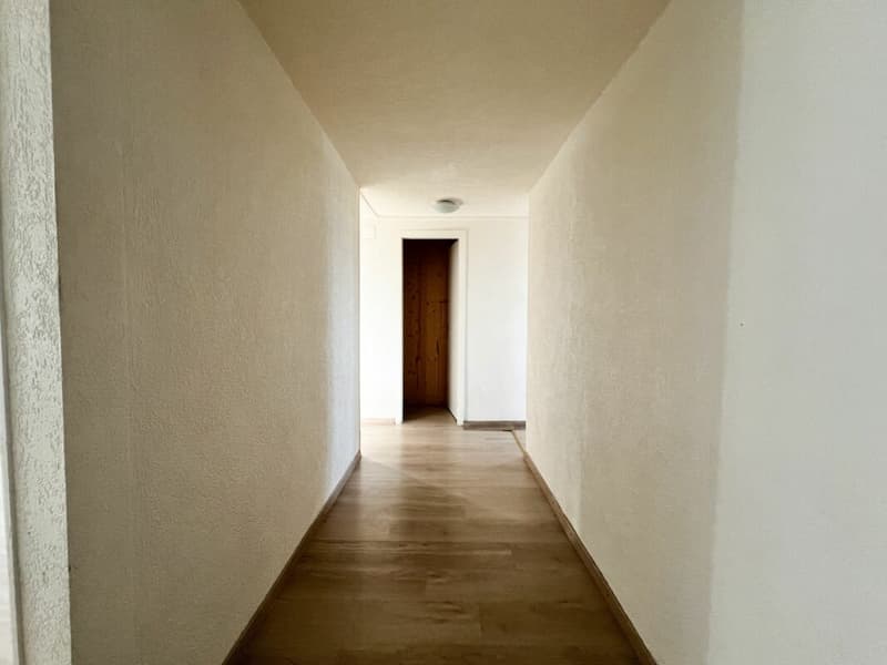 Cozy 3.5-room apartment in the countryside (6)
