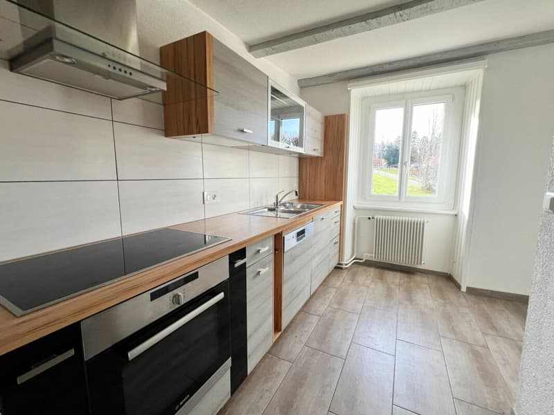 Cozy 3.5-room apartment in the countryside (3)