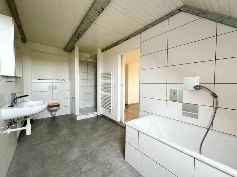 Cozy 3.5-room apartment in the countryside (5)