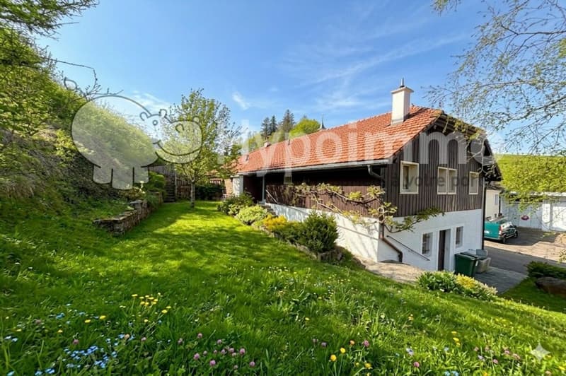 Belle maison familiale avec 6 grands garages (1)