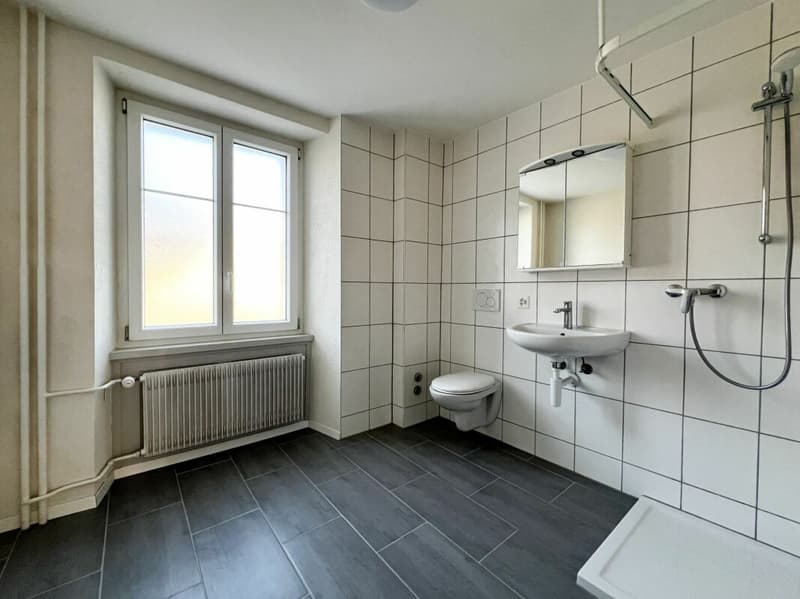 Charmant logement de 2 pièces (5)