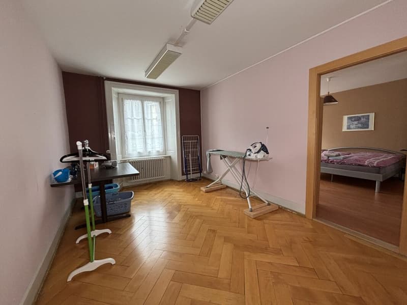 Bel immeuble familial avec terrasse et jardin (16)