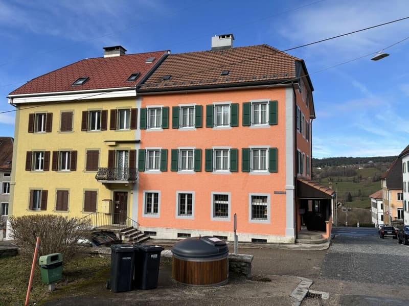 Bel immeuble familial avec terrasse et jardin (3)