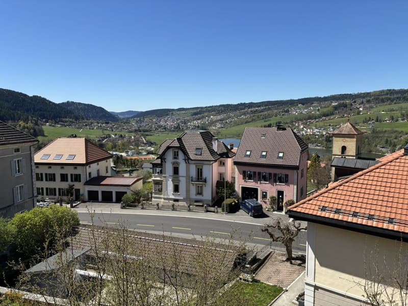 Bel immeuble familial avec terrasse et jardin (7)