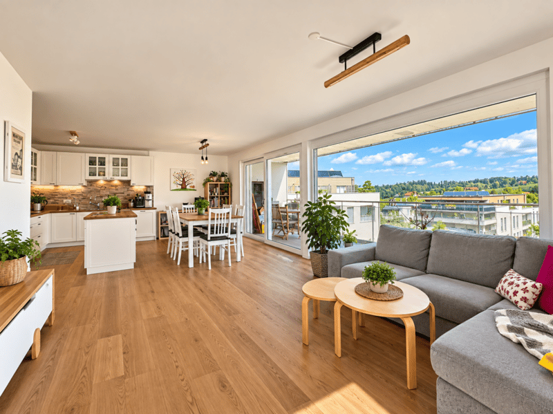 Magnifique appartement de 4.5 pièces avec terrasse (2)