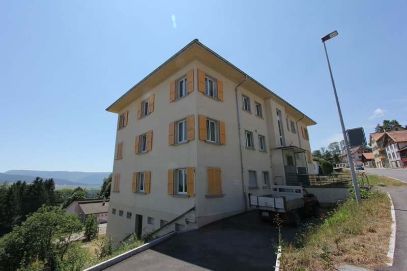 Appartement entièrement rénové de 2.5 pièces (6)
