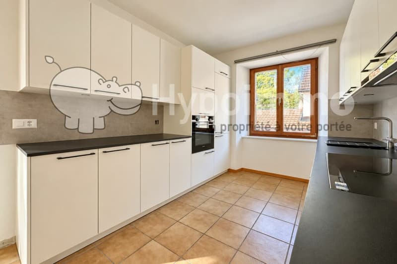 Grand appartement de 4.5 pièces avec cheminée (1)