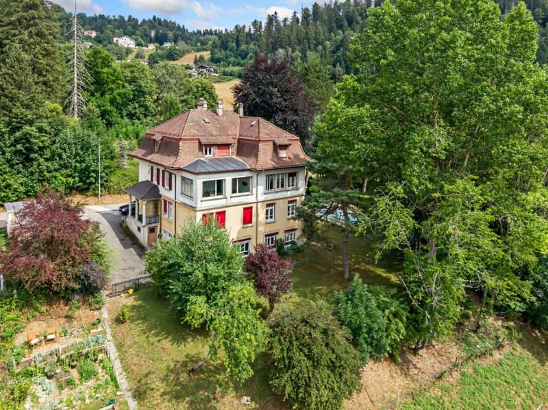 Maison de maître de 4 appartements avec piscine (2)