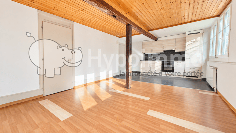 Chaleureux appartement de 4.5 pièces au centre-ville (1)