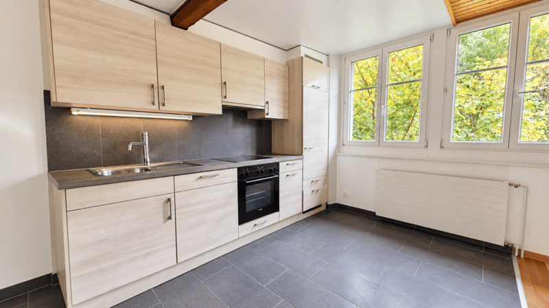 Chaleureux appartement de 4.5 pièces au centre-ville (2)