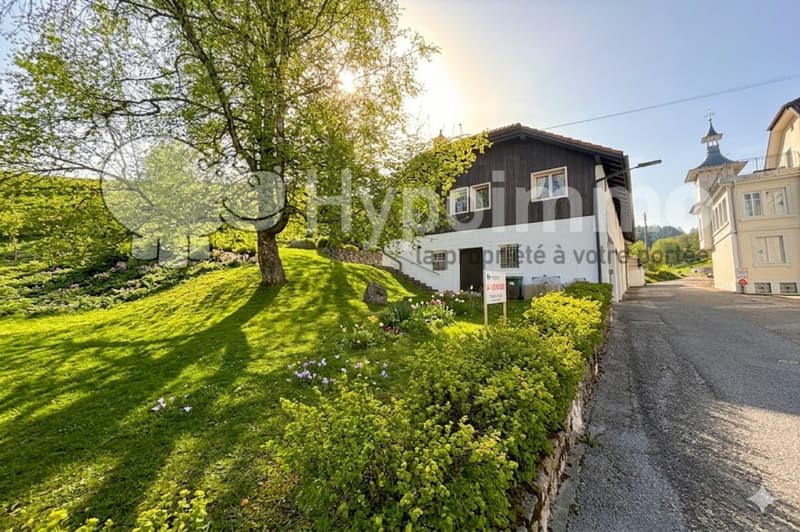 Belle maison familiale avec 6 grands garages (1)