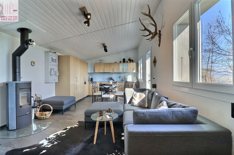 Espace à vivre avec agencement de cuisine