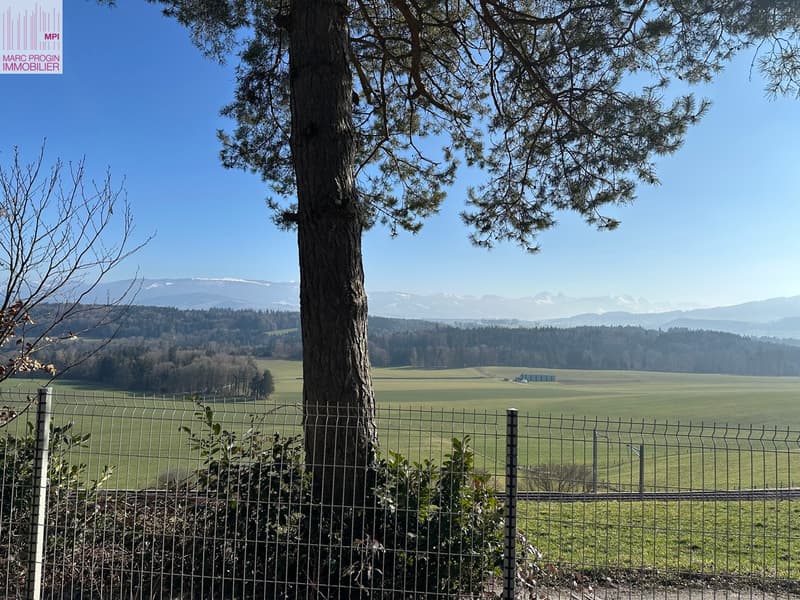Vue au sud