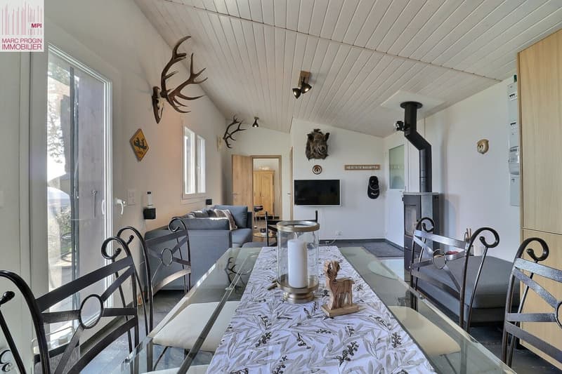 Espace à vivre avec poêle à bois