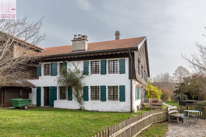 Exceptional Old Farm in Romanens in Gruyère (10)