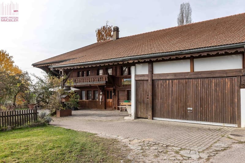 Exceptional Old Farm in Romanens in Gruyère (2)