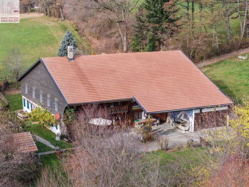 Exceptional Old Farm in Romanens in Gruyère (1)